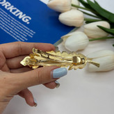 کلیپس فرانسوی فلزی طرح پر8.5cm