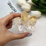 کلیپس پلومریا دو رنگ شیشه ای براق ماربل رگه طلایی کیفیت عالی وارداتی7cm