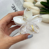 کلیپس پلومریا دو رنگ شیشه ای براق ماربل رگه طلایی کیفیت عالی وارداتی7cm