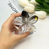 کلیپس پلومریا دو رنگ شیشه ای براق ماربل رگه طلایی کیفیت عالی وارداتی7cm