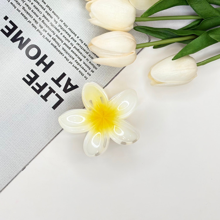 کلیپس پلومریا سفید زرد رنگ اصلی کیفیت عالی وارداتی 7cm