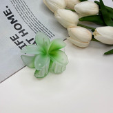 کلیپس گل پلومریا مدل آبرنگی یخی مات وارداتی 7cm