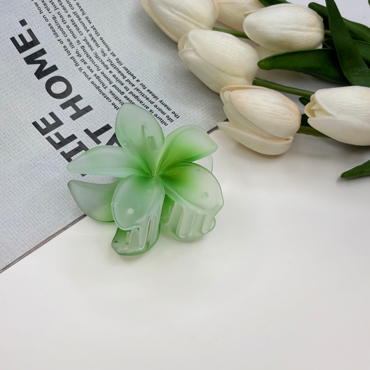 کلیپس گل پلومریا مدل آبرنگی یخی مات وارداتی 7cm