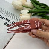 کلیپس انبری ژاپنی براق وارداتی با کیفیت عالی11cm