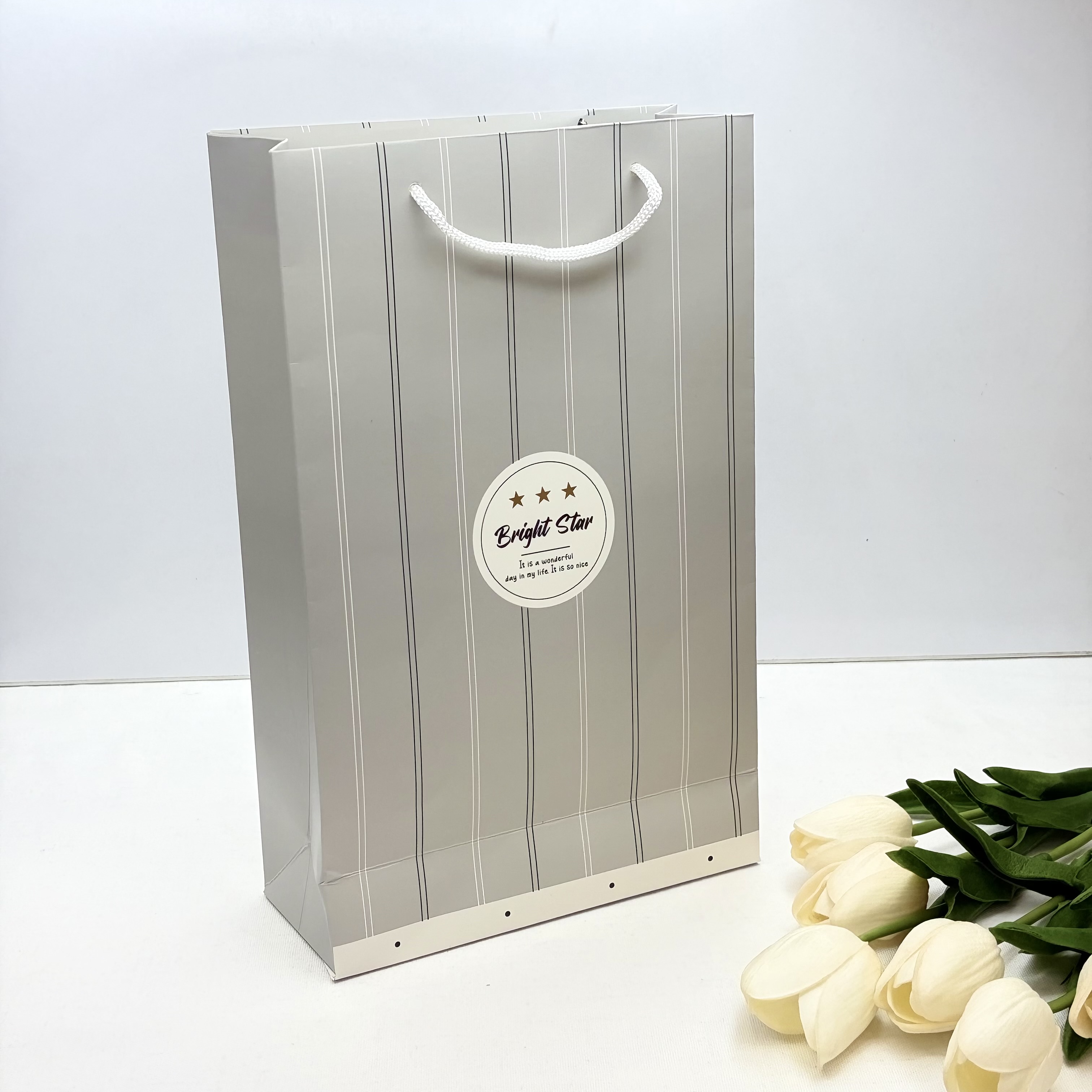 بگ شاپ بگ کادویی طرح bright star طوسی