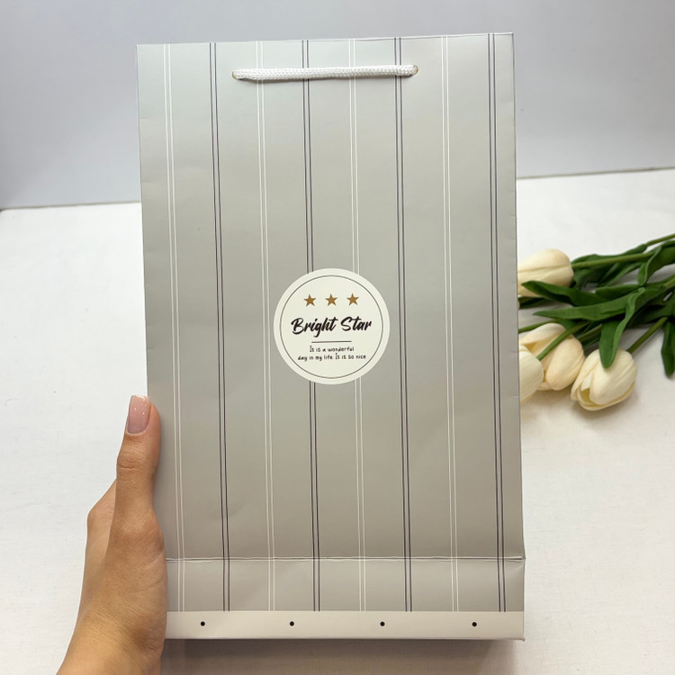 بگ شاپ بگ کادویی طرح bright star طوسی
