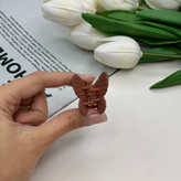 کلیپس مدل پروانه سایز کوچک رنگ نود و مات3.5cm