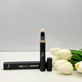 کانسیلر پد دار پرو استایل Pro Style Concealer اصلی حجم 7 گرم رنگ FAIR شماره 110