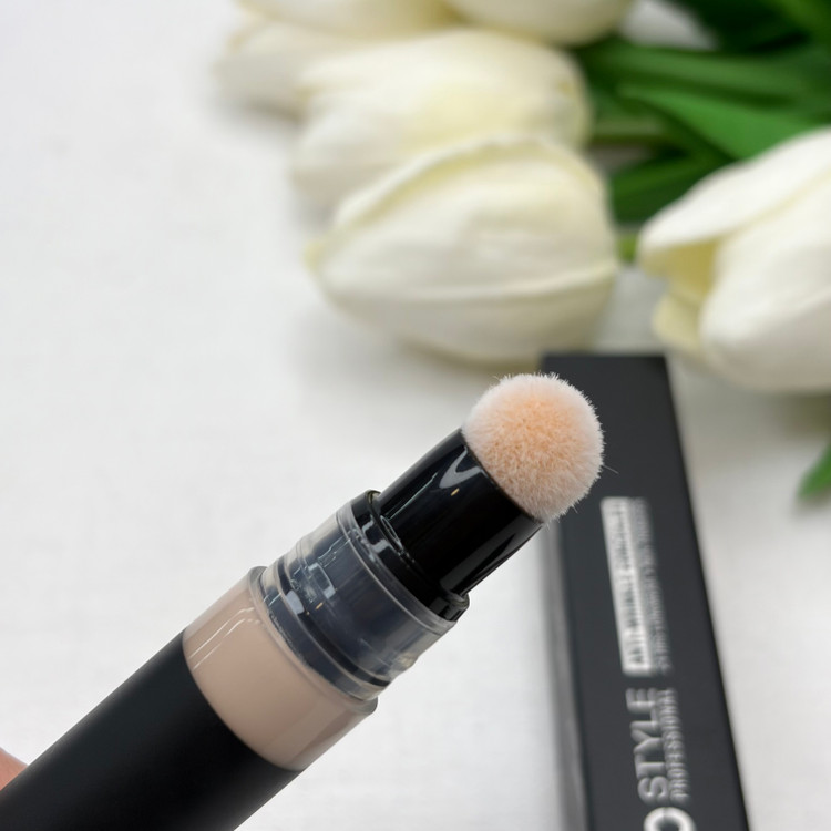 کانسیلر پد دار پرو استایل Pro Style Concealer اصلی حجم 7 گرم رنگ FAIR شماره 110